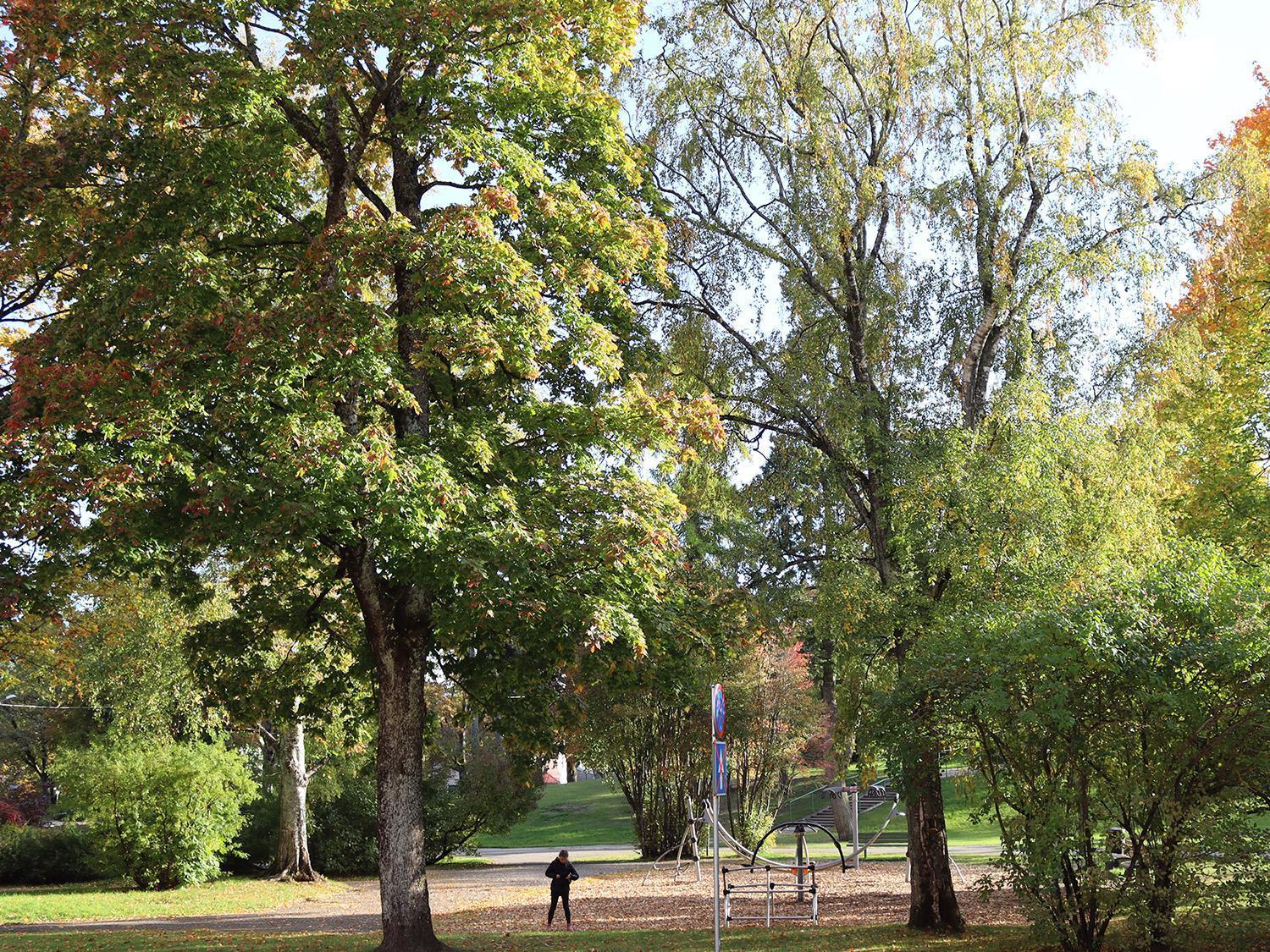 Hostel Louna Pärnu Exteriér fotografie